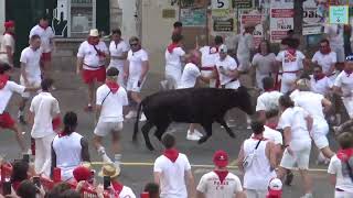 Fêtes de Bayonne 2024Courses de Vaches 2 [upl. by Anikas130]