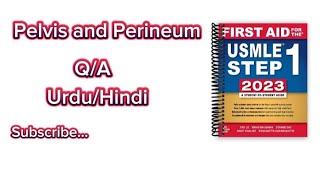 First aid made easy  Pelvis Perineum Anatomy  QA Series  Quick Hints 👌 😀 [upl. by Amyaj]