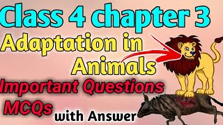 Class 4 adaptation in animals important questions MCQs [upl. by Gordon]