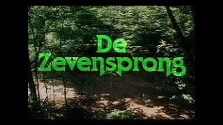 De zevensprong  Aflevering 8  GeertJan Grisenstijn [upl. by Brodeur]