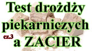 Test drożdzy piekarskich babuni cz3  a ZACIER  NASTAW  fermentacja alkoholowa [upl. by Corder]