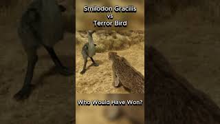 Smilodon Gracilis vs Terror Bird smilodon terrorbird fight [upl. by Cyril]