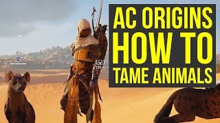 Assassins Creed Origins ANIMAL TAMING Gameplay AC Origins Gameplay  Assassins Creed Origins tips [upl. by Ylsew405]