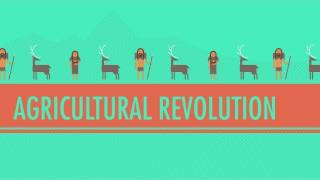 The Agricultural Revolution Crash Course World History 1 [upl. by Kristofer]