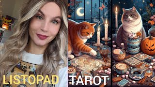 RAK ♋ LEW ♌ PANNA ♍ LISTOPAD TAROT PROGNOZA 🎃🍭🍁 [upl. by Meier844]