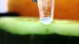 hygroscopic salt demonstration [upl. by Condon854]