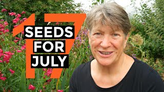 What to sow in July  Easy to grow food  Selfsufficient vegetable garden [upl. by Eri]