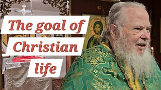 The goal of our Earthly lives  Orthodox Sermon [upl. by Kele354]