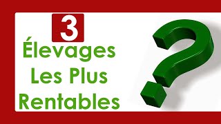 ÉLEVAGE Les 3 Secteurs les Plus Rentables [upl. by Magnuson619]