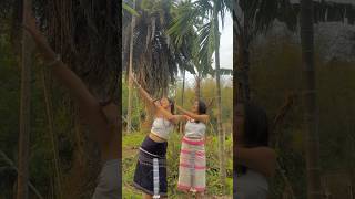 Aakhama Gajal  Nepali Song  Dance  karbi Anglong shorts [upl. by Aihtibat]