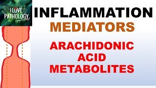 INFLAMMATION Part 5 Chemical Mediators ARACHIDONIC ACID METABOLITES [upl. by Nangem]