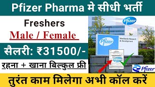 Pfizer pharma Recruitment 2024  pfizer pharma job vacancy 2024  Pharma jobs 2024 StirelessZone [upl. by Erl]