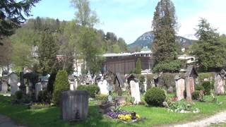 The grave of Hans Lammers [upl. by Dionisio830]