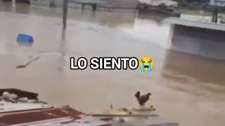 Wilson Lo siento😭 the video [upl. by Eboj584]