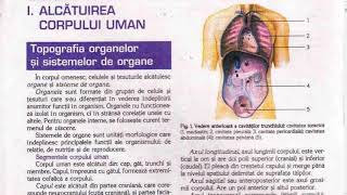 I ALCĂTUIREA CORPULUI UMAN  TOPOGRAFIA ORGANELOR SI SISTEMELOR DE ORGANE [upl. by Alfeus865]