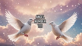 Unlocking Your Angel Number 1111 Wish Granted [upl. by Laurena417]