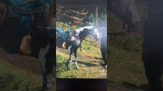 RDR2 Fox Trotter Missouri fy reddeadredemtion2 fypyoutube rdr2 gaming reddeadonline cowboys [upl. by Ahcsat]