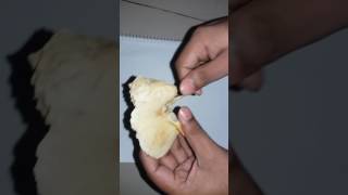 Temporal bone Part1Bangla tutorial [upl. by Wier325]