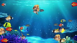 Fish Aquarium Lullabies Calming Underwater Scenes to Soothe Babies to Sleep [upl. by Annabel258]