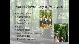 Understanding Silviculture [upl. by Utimer]