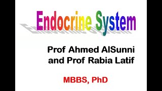 endocrine system part 1 [upl. by Mairem]