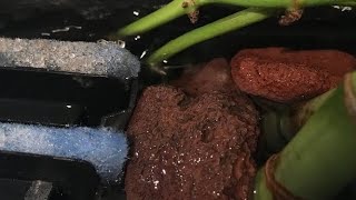 Why lava rock Is used In Filtration [upl. by Leeland175]