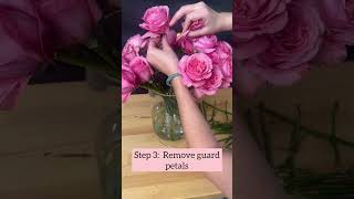 How to make your roses last for days [upl. by Adorne454]