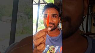 How to prepare chilli seeds from ripe chillies at home chilliseeds athome chilliplants [upl. by Ayyidas]