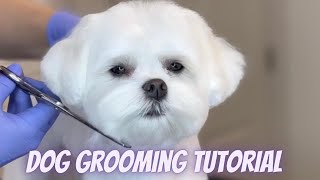 DOG GROOMING TUTORIAL  Step by Step Maltese haircut [upl. by Llertal]