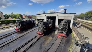 Festwochenende  125 Jahre Harzquer  und Brockenbahn 25082024 [upl. by Butterworth]