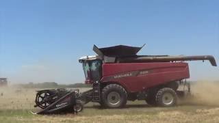 Wheat Harvest 2016  Gotebo Oklahoma  Oil Wells and Terraces [upl. by Rustie]