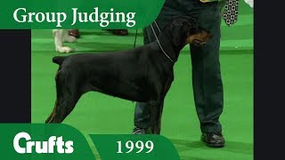 Doberman wins Working Group Judging at Crufts 1999 [upl. by Atik]