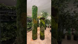 Transform your space with customizable moss columns 🌿✨ Create a lush oneofakind vibe indoors [upl. by Itnahsa679]