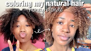 dying my natural hair at home  no damagebreakage  creme of nature hair dye [upl. by Aniweta505]