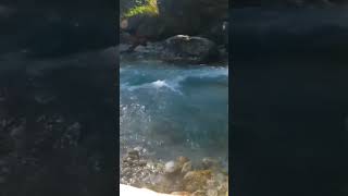 short A pesca in Valle dAosta fishing troutfishing [upl. by Philemon787]