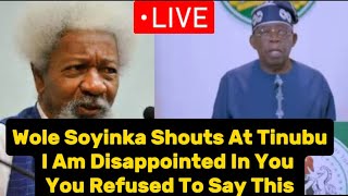 Wole Soyinka Shouts At Tinubu I Am Disappointed In You After His Speech On Protest [upl. by Elcin]