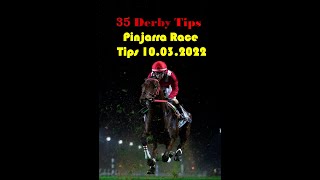 Pinjarra Race Tips 10032022 [upl. by Murrell]