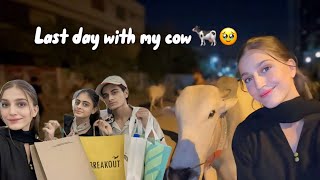 Last day with my cow🐄🥺  Eid ki shopping done🛍️ [upl. by Apple]