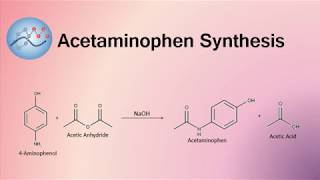 Acetaminophen Synthesis Mechanism  Organic Chemistry [upl. by Jannery]