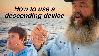 how to use a descending device release releasingfish deepwaterrelease howtoreleasefish [upl. by Alley613]