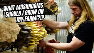 What Mushrooms should I Grow on my Farm [upl. by Llydnek]