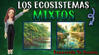 🌍🐊LOS ECOSISTEMAS MIXTOS Sus Tipos Características Flora y Fauna🍃🐠 [upl. by Faxun105]