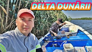 PESCUIT LA CRAP ÎN DELTA DUNĂRII LA SONDE [upl. by Tierney]