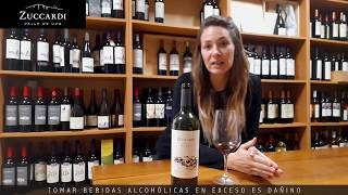 Zuccardi Serie A Malbec  Nota de Cata [upl. by Ronen]