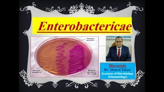 Enterobacteriaceae quotMedical Microbiologyquot [upl. by Edge]