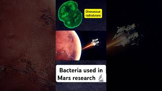 Bacteria with Guiness Record😱🤯🤯 [upl. by Audris894]