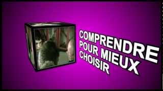 SIEP  DVD Lalternance  Clip vidéo [upl. by Ahsoyek]