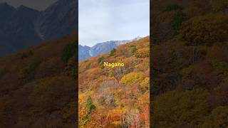 Nagano over the top japan traveling nagano kamikochi hakuba travelvlog vlogger short [upl. by Jennings]