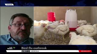 Avian flu outbreak in SA  Prof Robert Bragg [upl. by Anasus704]