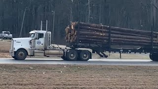 Kenworth W900 Day Cab Logging Truck [upl. by Laing]